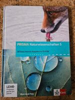 Prisma Naturwissenschaften Buch Rheinland-Pfalz - Wöllstein Vorschau