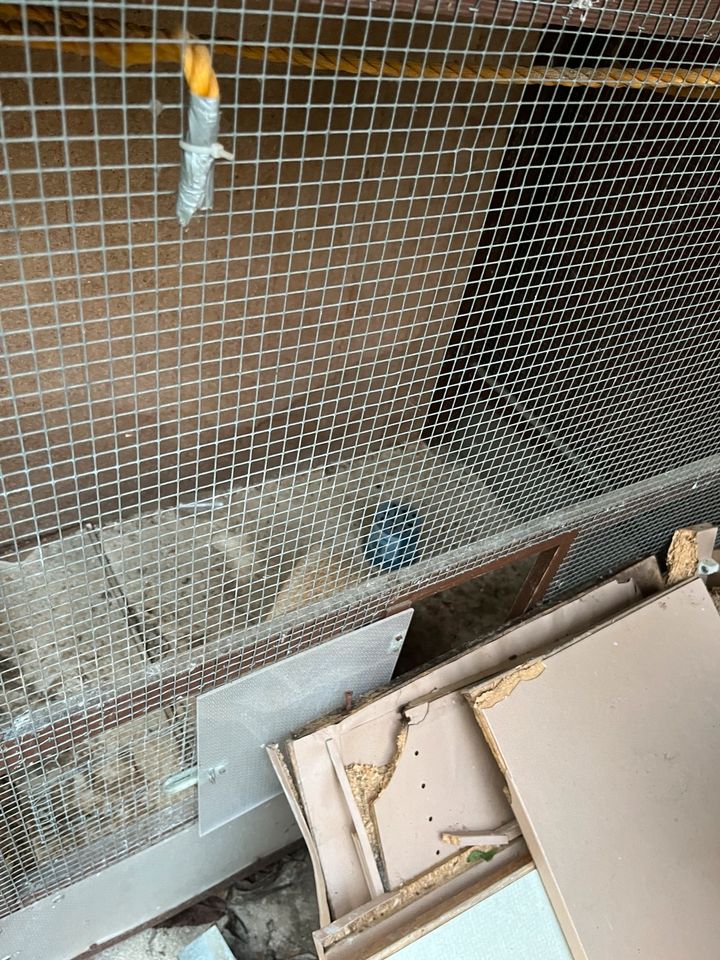 Käfig hasenkäfig Hühnerkäfig Hasenhaus in Höchst im Odenwald