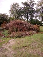 Bieten Entsorgung von Grünschnitt Gartenabfällen Baumschnitt Laub Niedersachsen - Apen Vorschau