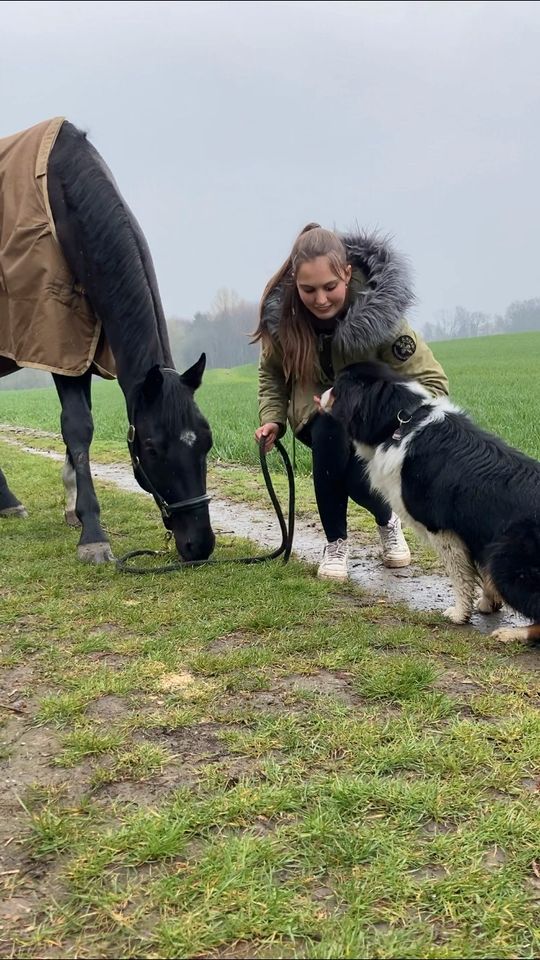 Hundbetreuung, Urlaubsbetreuung, Sportskamerad in Witten