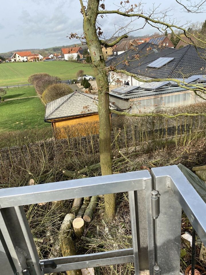 Lichtraumprofil Büsche schneiden Mulchen Gehölzschnitt in Osterode am Harz