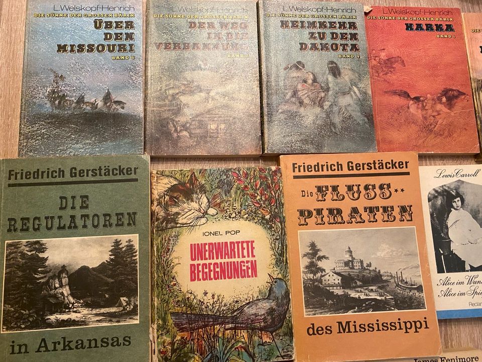 DDR  Ostalgie Kinder und Jugendbücher in Eberswalde