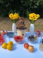 Schokobrunnen//CandyBar//Hochzeit//Kindergeburtstag//Vermietung Baden-Württemberg - Hüfingen Vorschau