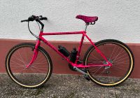 Koga Miyata Valley Runner MTB Original Leopard Pink Vintage Hessen - Hanau Vorschau