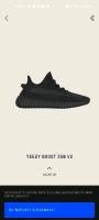 Yeezy boost 350 V2 Rheinland-Pfalz - Bingen Vorschau