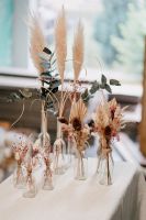 Verleih 15 Trockenblumen mit Vase Hochzeit Feier Stuttgart - Zuffenhausen Vorschau