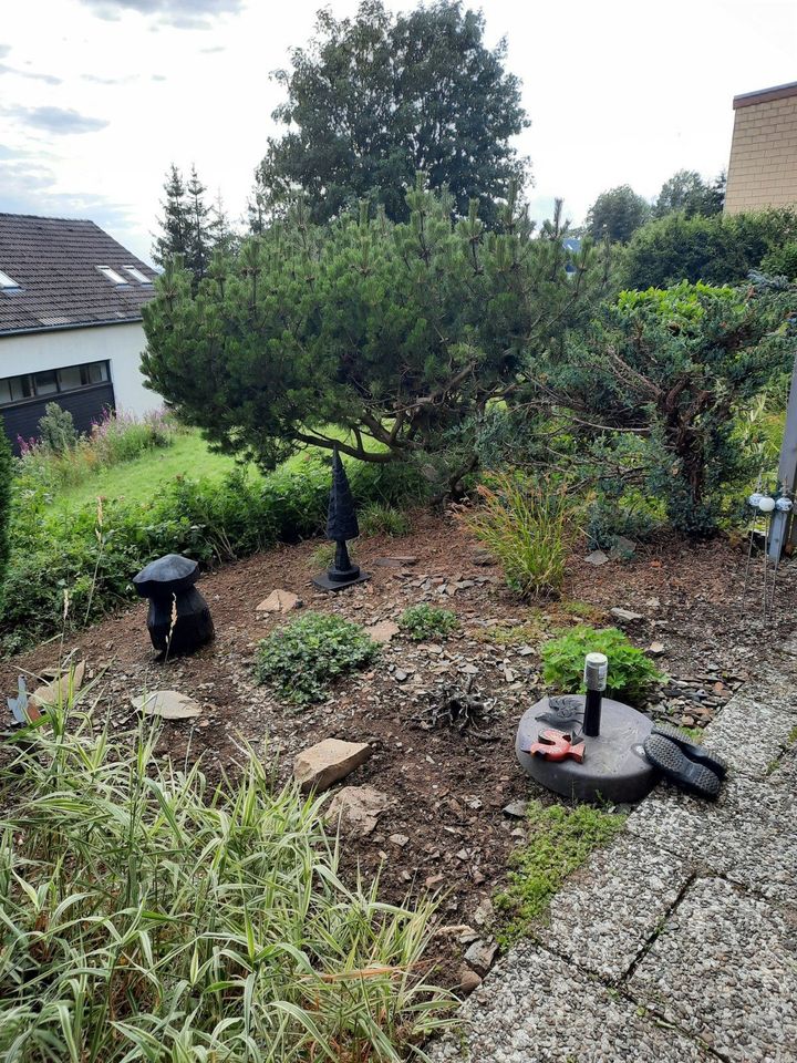 Gepflegte 2-Zimmer-Wohnung zum Kauf in St. Andreasberg