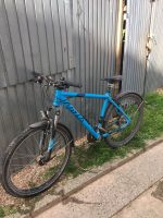 Fahrrad 29 Zoll Saarland - Nohfelden Vorschau