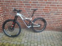 Spezialized Enduro expert carbon 29 zoll Nordrhein-Westfalen - Nottuln Vorschau