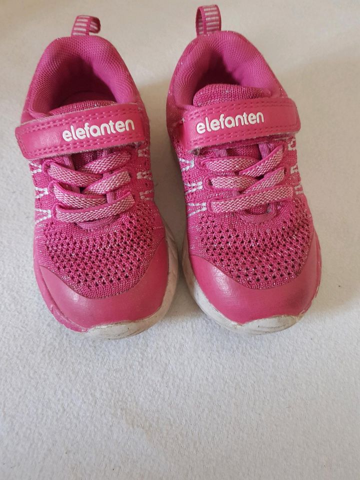 Sneakers von Elefanten in Lüneburg