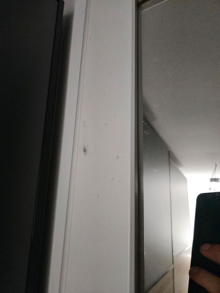 Tyssedal Spiegeltür / Pax Ikea 229cm in Brehna