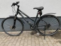 28“ X-Cross Kellys Grace Rheinland-Pfalz - Trier Vorschau