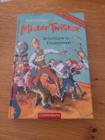 Mister Twister, Wirbelsturm im Klassenzimmer Niedersachsen - Jesteburg Vorschau