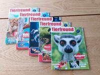 5x Kinderzeitschrift Tierfreund - Das junge Wissensmagazin Bayern - Hirschau Vorschau