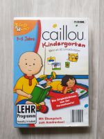 PC Spiel Caillou Kindergarten Brandenburg - Potsdam Vorschau