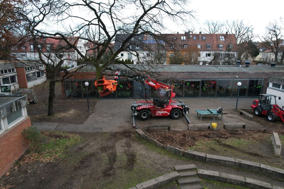 Holzeinschlag Baumfällung Wimmer Forstschlepper in Altenkunstadt