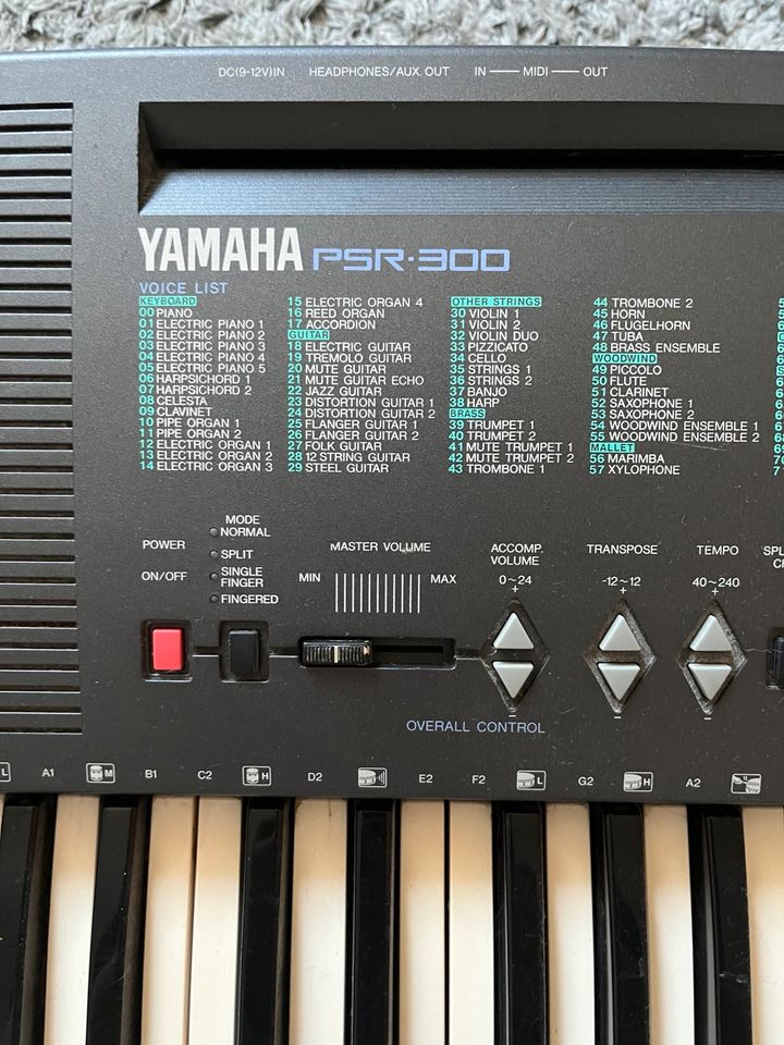 Keyboard Yamaha Psr 300 in Jesberg