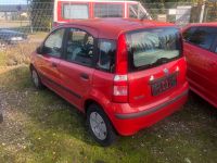 Fiat Panda 169 Ersatzteile Teile Schlachtfest Niedersachsen - Winsen (Luhe) Vorschau