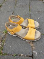 Clarks Sandalen 38 Nordrhein-Westfalen - Marl Vorschau