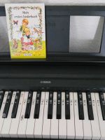 Yamaha p-45 E-Piano Dresden - Pieschen Vorschau