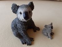 Koala,  € 29,- Köln - Weidenpesch Vorschau