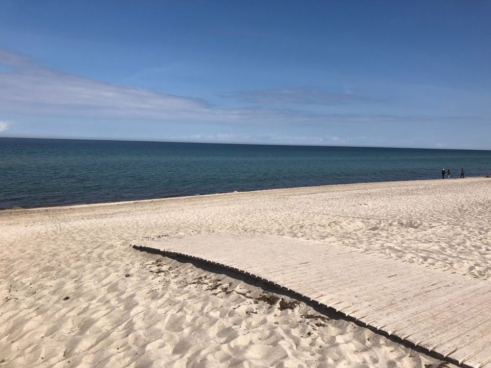 Last Minute, Ferienwohnung Rerik, Ostsee, Strand, Hund in Rerik