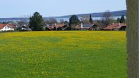 Kleines, feines, ruhiges Gästezimmer, eigenes Duschbad, Seeblick Bayern - Dießen Vorschau