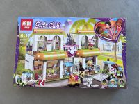 Girls Club baugleich Lego Friends Heartlake City Haustierzentrum Hessen - Birkenau Vorschau