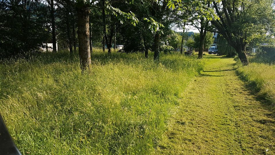 Rasen Garten Mähen Rasenmähen Heckenschnitt Gartenpflege in Schorndorf