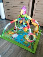 Fisher Price Rainforest Spielbogen, Tucan Nordrhein-Westfalen - Reichshof Vorschau