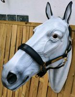 Harry's Horse Lederhalfter Nr.HH28500003 neu Hessen - Schwalmstadt Vorschau