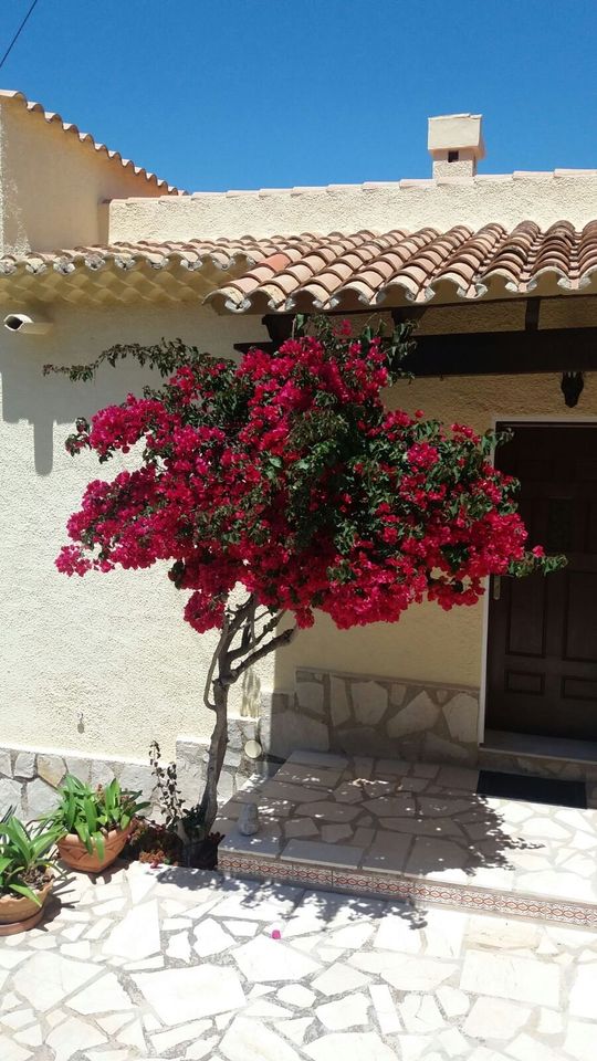 Ferienhaus in Denia, Costa Blanca, Spanien in Oelde