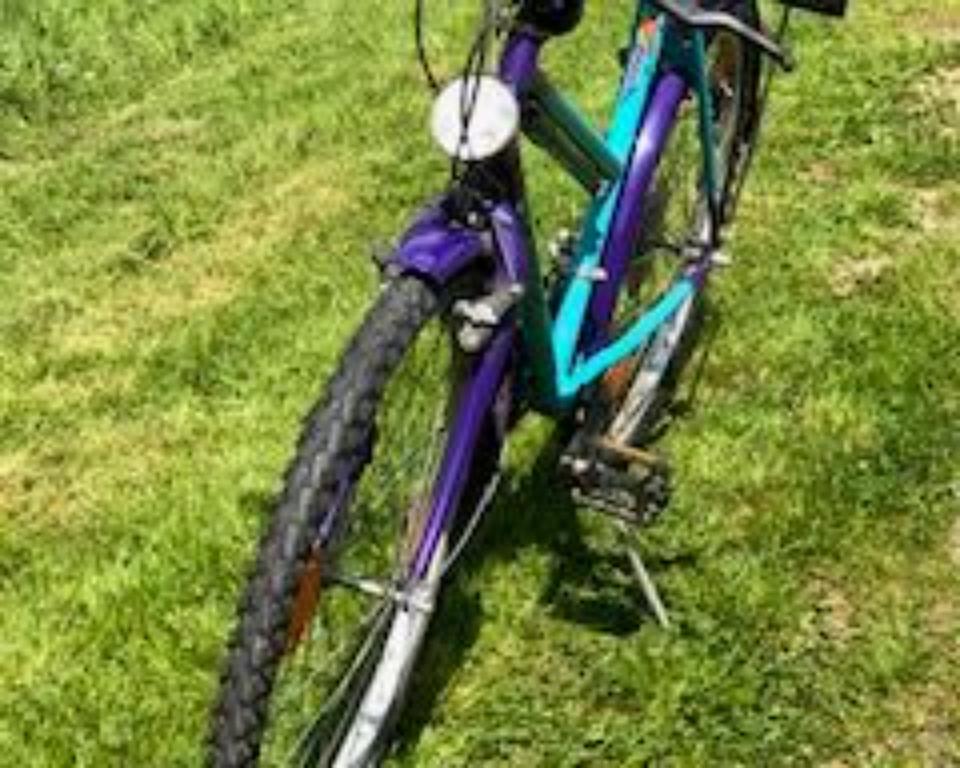 Mountain-Bike, 18-Gang, 26 Zoll in Hennef (Sieg)