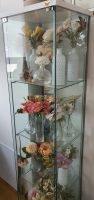 Ikea Glasschrank Vitrine TOP ohne Deko 163/35/40cm Münster (Westfalen) - Albachten Vorschau