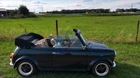 Mini Rover Cabriolet SPI Mini Cooper Oldtimer Schleswig-Holstein - Krummwisch Vorschau