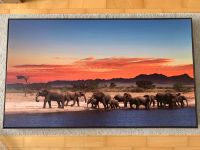 Malerisches Bild auf Leinwand Afrika 120x70cm (Abholung München) München - Milbertshofen - Am Hart Vorschau