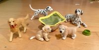 SCHLEICH Hundeset Golden Retriever & Dalmatiner, Körbchen & Napf Nordrhein-Westfalen - Haan Vorschau