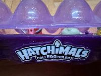 Hatchimals wie NEU! Top Zustand!! Hessen - Oberursel (Taunus) Vorschau