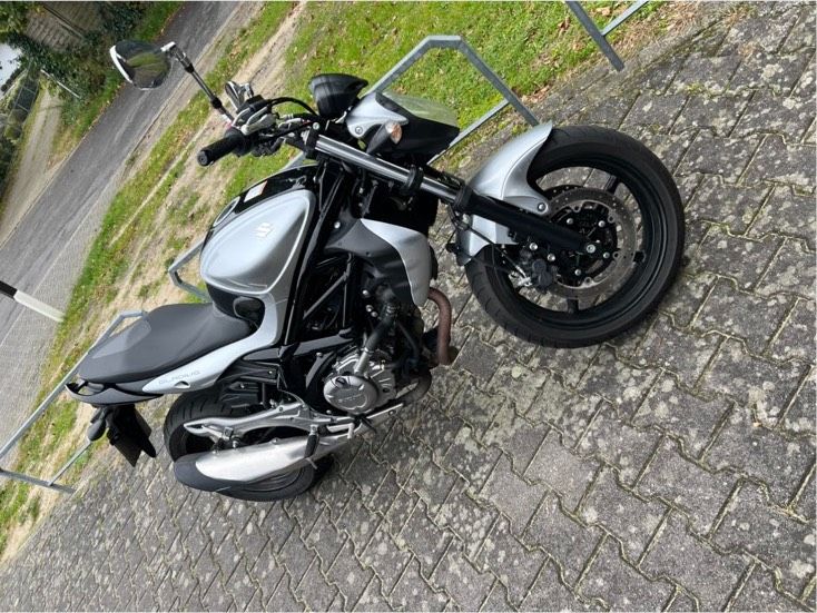 Suzuki Gladius SV650 in Börger