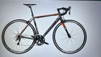 Wilier Montegrappa Tiagra Rheinland-Pfalz - Limburgerhof Vorschau