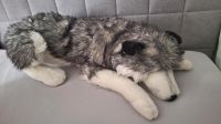 Husky Kuscheltier Hund Ellie liegend 70 cm grau Dortmund - Benninghofen Vorschau