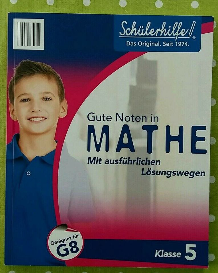 NEU Schülerhilfe Mathematik Klasse 5 in Klingenthal