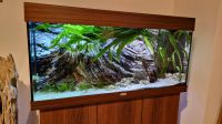 Aquarium JUWEL RIO 180 mit CO2-Anlage und ARSTONE 3D-Rückwand Nordrhein-Westfalen - Senden Vorschau