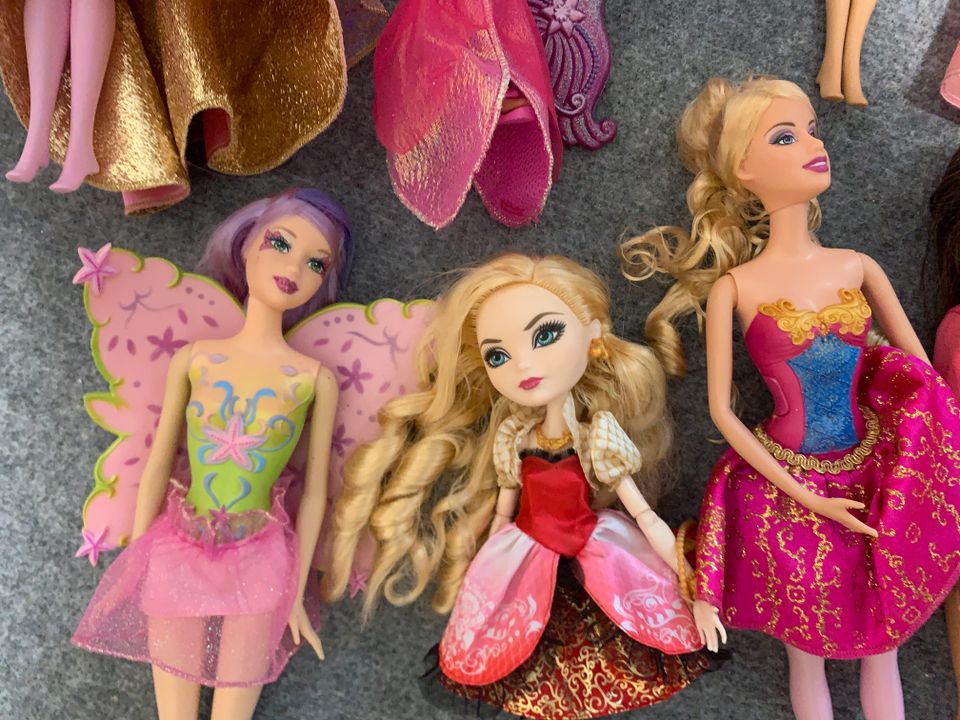 Barbie Puppen Set Meerjungfrauen Feen Ballett Musketiere Mariposa in Kiel