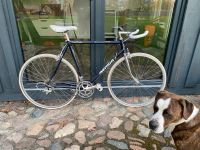 Merida Extreme 909 Carbon fixie singlespeed Rennrad Brandenburg - Cottbus Vorschau