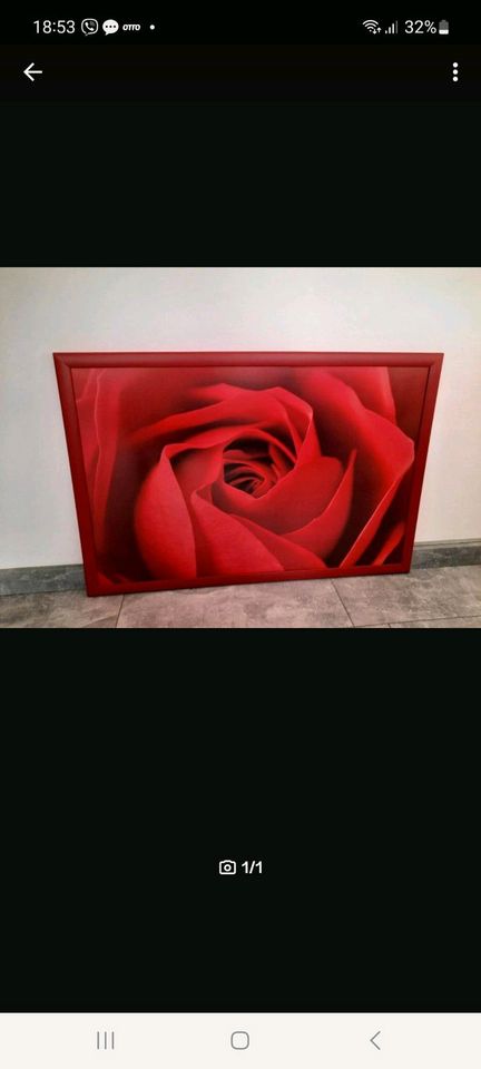 Bild Rose 80×60 in Marl