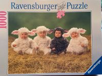 Ravensburger Puzzle 1000 Teile Baden-Württemberg - Gaggenau Vorschau