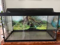 Aquarium 74x35x40 + Zubehör Berlin - Pankow Vorschau