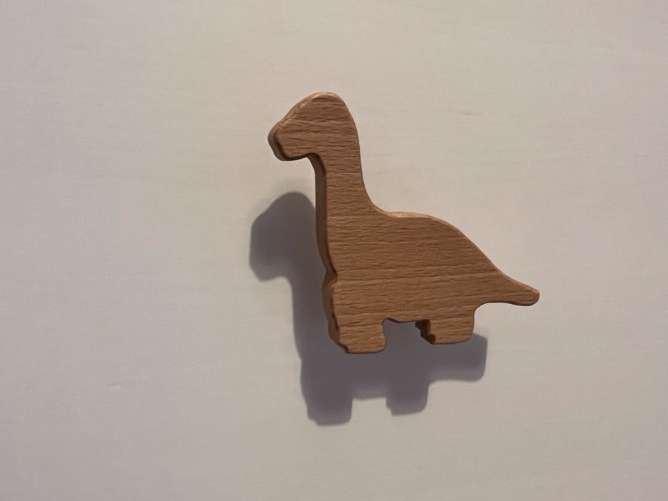 Schubladenknöpfe ⭐️ Dinosaurier ⭐️ Holz in Rietberg