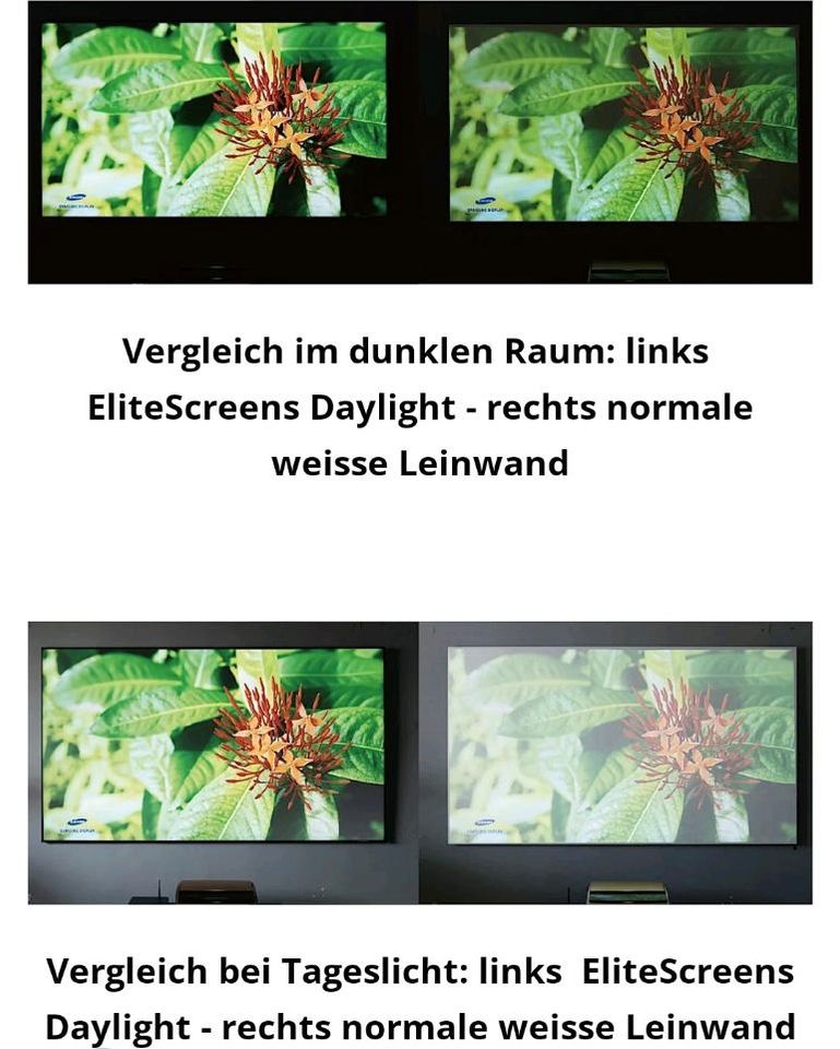 EliteScreens Daylight 100 Zoll Leinwand in Bad Griesbach im Rottal